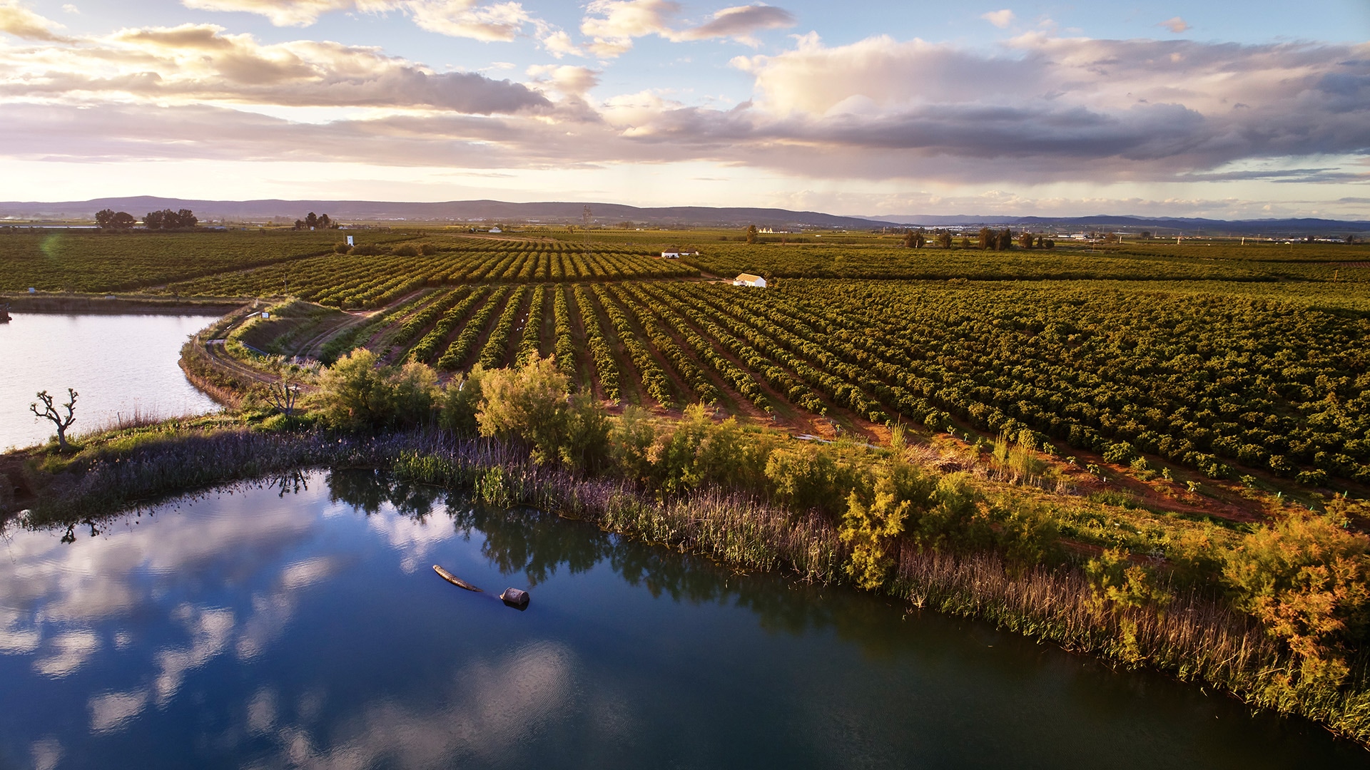 Ein Wasserbecken, das an ein Feld grenzt