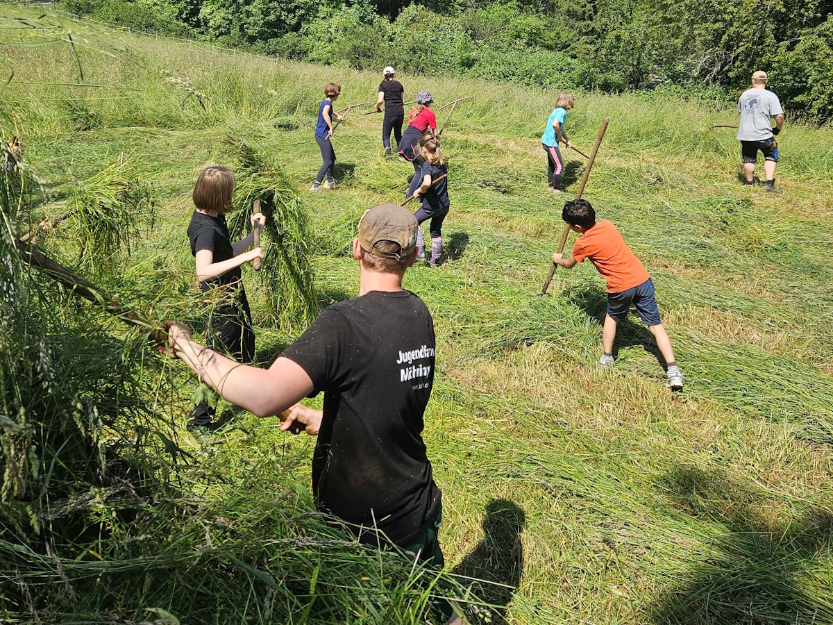 Acht Personen auf der Wiese bei der Heuernte