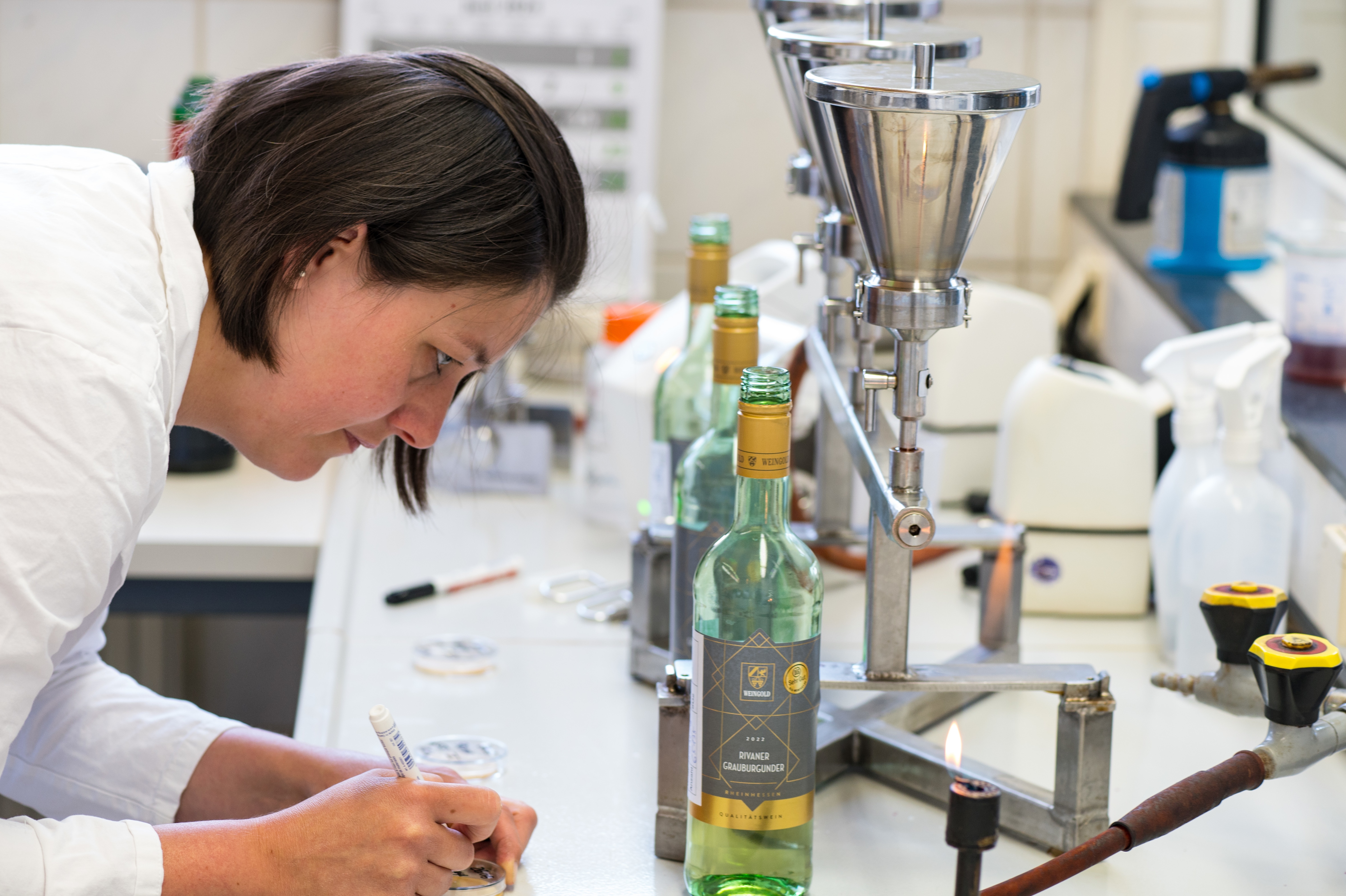Mitarbeiterin im Labor macht sich Notizen