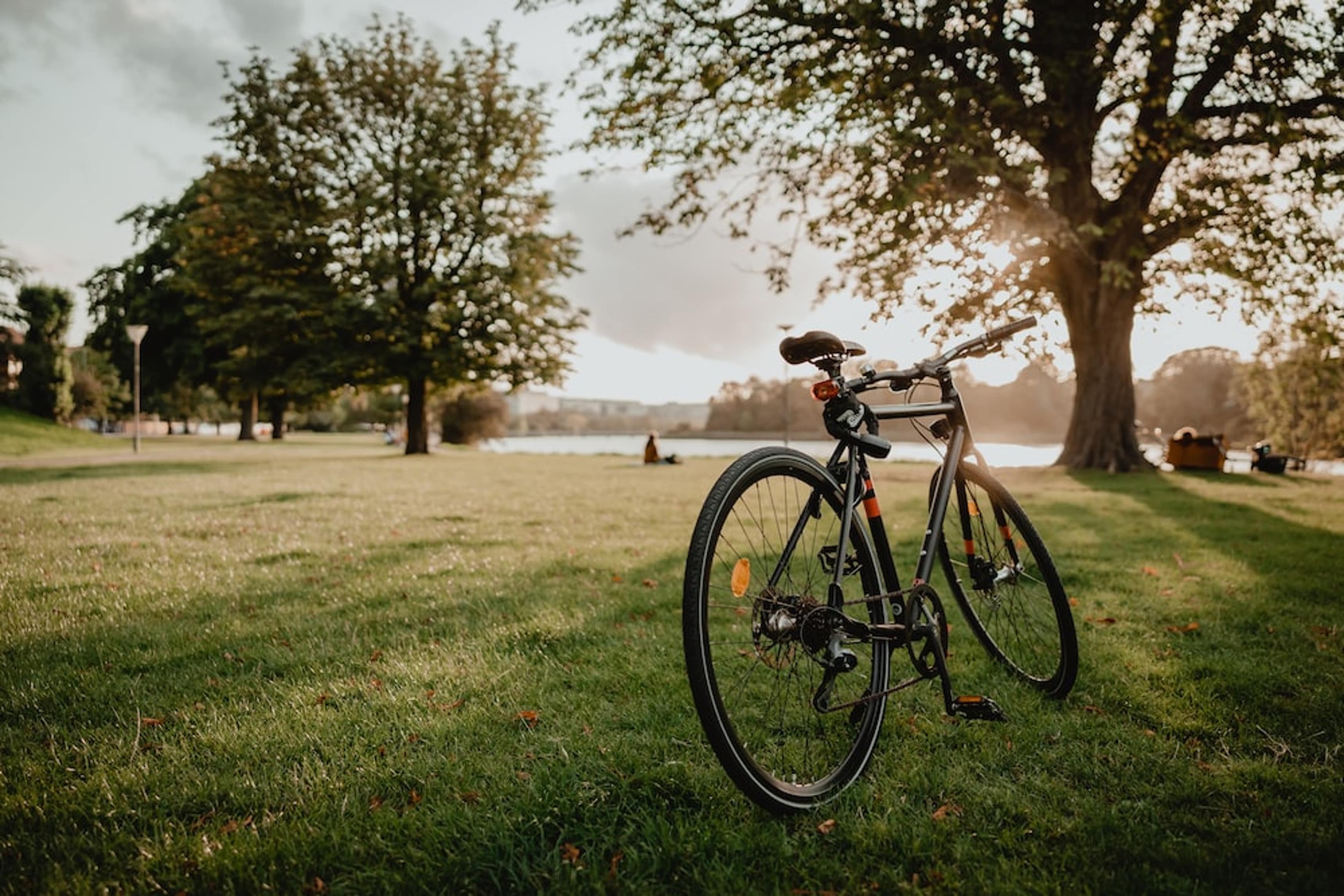 Fahrrad steht auf einer Wiese mit Bäumen