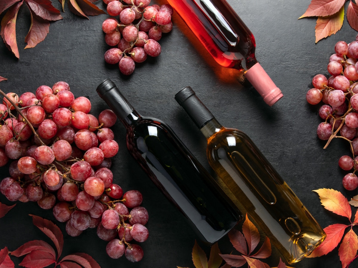 Auf schwarzem Untergrund liegen rote Weintrauben und 3 geschlossene Weinflaschen ohne Etikett (Weiß-, Rosé- und Rotwein).