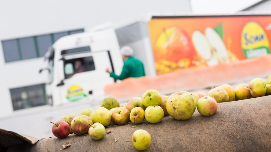 Grün-rote Äpfel liegen auf einer braunen Fläche. Dahinter unscharf ein Lastwagen.