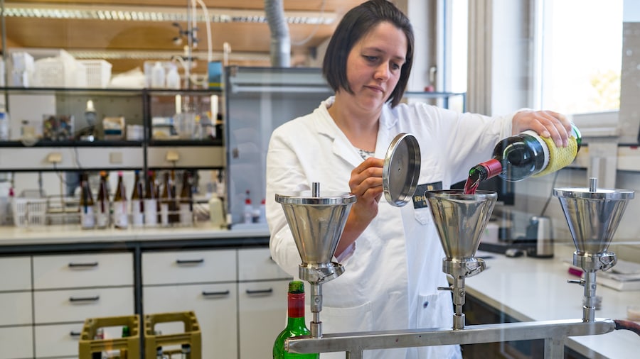 Mitarbeiterin im Labor füllt Wein in einen Filter