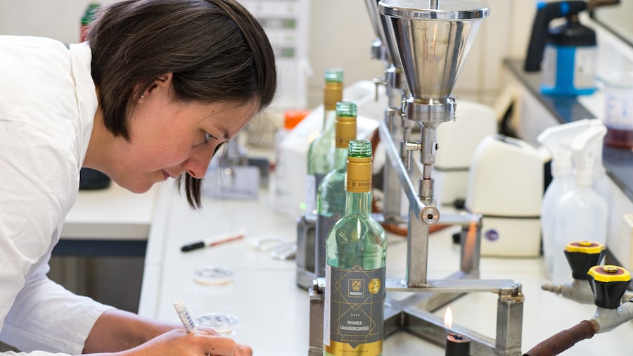 Mitarbeiterin im Labor macht sich Notizen