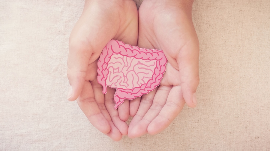 Hände halten eine rosa Illustration des menschlichen Darms vor beigem Hintergrund.