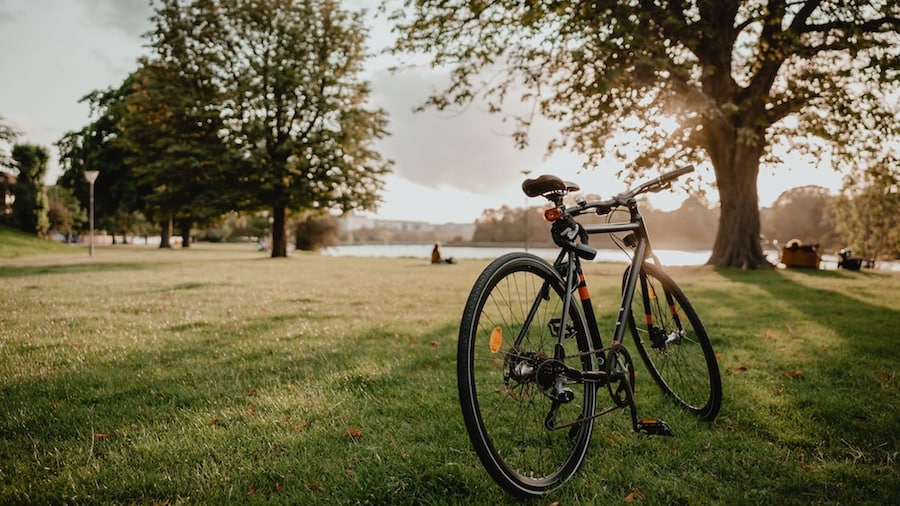 Fahrrad steht auf einer Wiese mit Bäumen