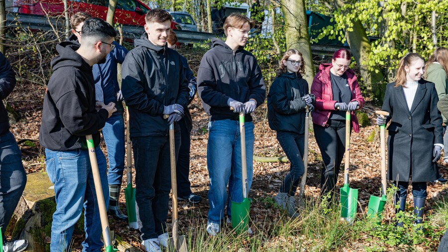 EDEKA Minden-Hannover Azubi-Baumpflanzaktion 2024 - Azubis mit Schaufeln