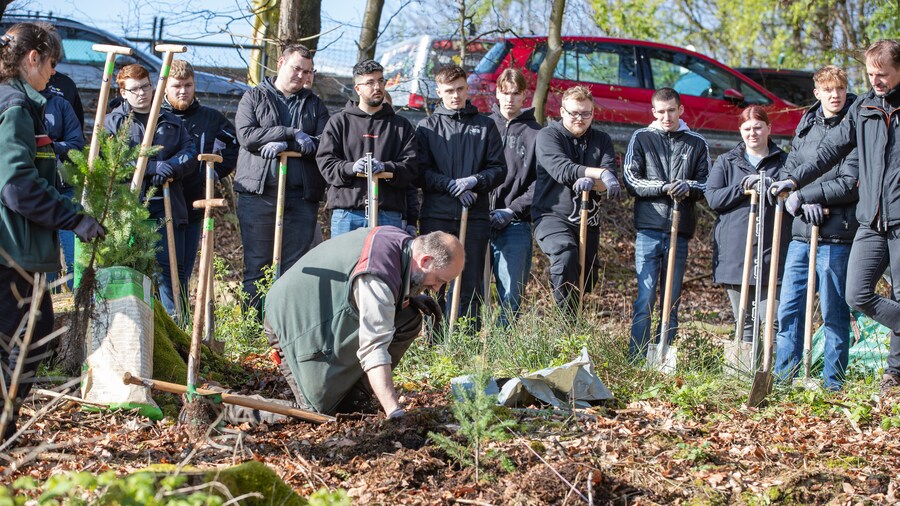 EDEKA Minden-Hannover Azubi-Baumpflanzaktion 2024 - Setzling wird eingepflanzt