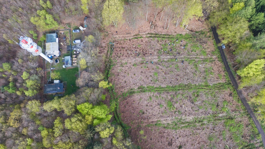 EDEKA Minden-Hannover Azubi-Baumpflanzaktion 2024 - Waldfläche aus der Vogelperspektive