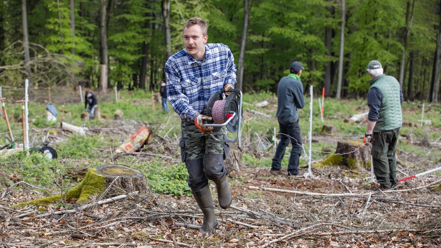 EDEKA Minden-Hannover Azubi-Baumpflanzaktion 2024 - Helfer mit Seiltrommen