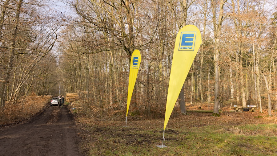 EDEKA Minden-Hannover Azubi-Baumpflanzaktion 2024 - 2 EDEKA-Fahnen bei einer Waldeinfahrt