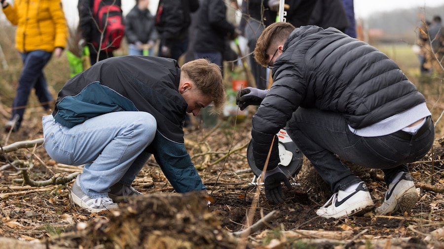EDEKA Minden-Hannover Azubi-Baumpflanzaktion 2024 - 2 Azubis pflanzen zusammen einen Setzling