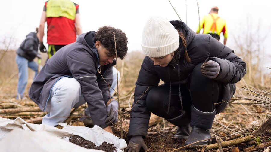 EDEKA Minden-Hannover Azubi-Baumpflanzaktion 2024 - 2 Azubis sitzen in der Hocke und pflanzen gemeinsam einen Baum