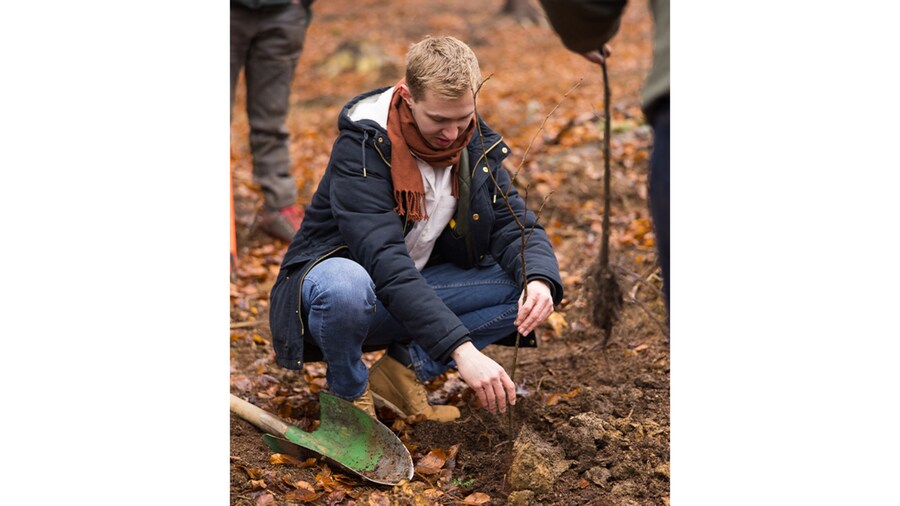 EDEKA Minden-Hannover Azubi-Baumpflanzaktion 2024 - Helfer sitzt in der Hocke und pflanz einen Setzling