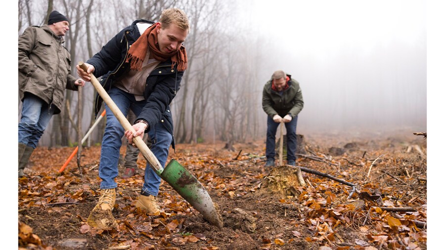 EDEKA Minden-Hannover Azubi-Baumpflanzaktion 2024 - 2 Helfer heben mit Schaufeln Erde aus dem Boden