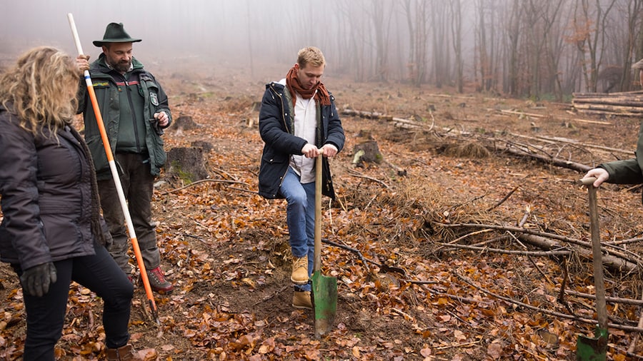EDEKA Minden-Hannover Azubi-Baumpflanzaktion 2024 - Helfer sticht Schaufel in den Boden