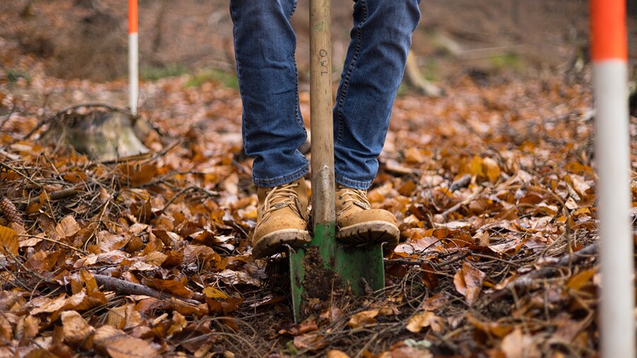EDEKA Minden-Hannover Azubi-Baumpflanzaktion 2024 - Close-Up: Schaufel wird mit den Füßen in den Boden gestochen