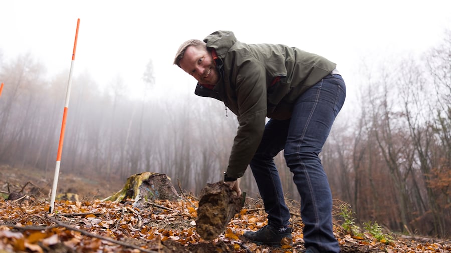 EDEKA Minden-Hannover Azubi-Baumpflanzaktion 2024 - Geschäftsführer pflanzt Setzling ein und lächelt freundlich in die Kamera