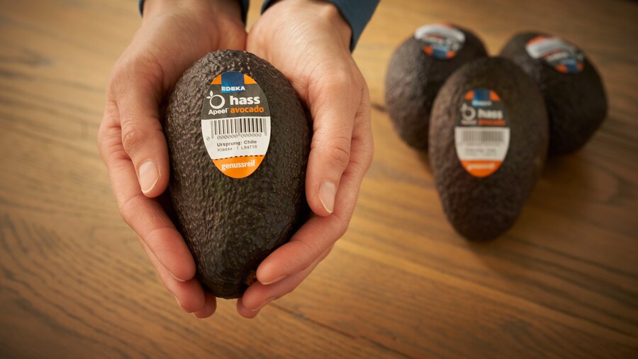 EDEKAxApeel_Avocado in der Hand
