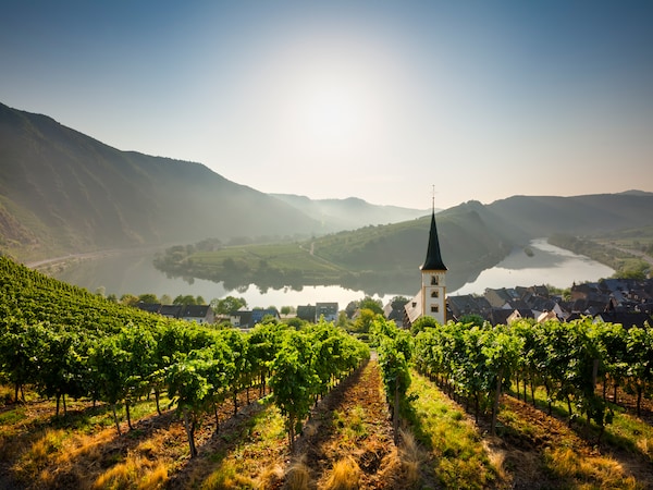 EDEKA Südwest Rheinland-Pfalz Absatzgebiet Urlaub Tourismus Arbeiten Leben Mosel Moselschleife