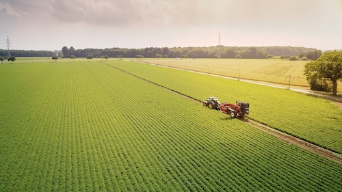 Großes grünes Feld mit einem landwirtschaftlichen Fahrzeug.