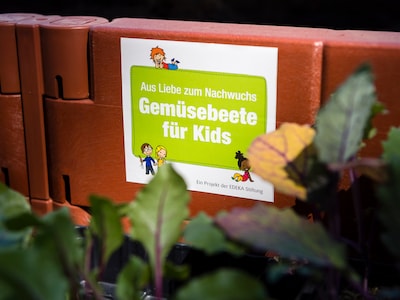 Gemüsebeete für Kids
