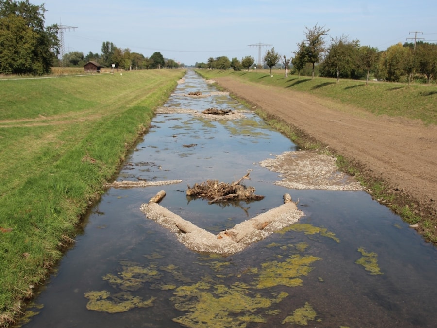 Ein gerades Flussbett, links und rechst davon ein erhöhter Damm. Im Fluss sind V-Buhnen und Steinbuhnen zu sehn.