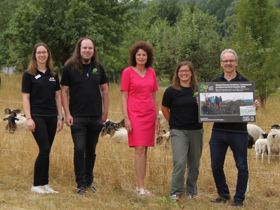 Fünf Personen mit Scheck vor Schafherde