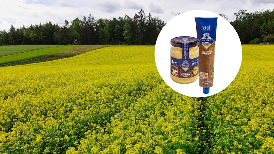 Landschaft mit blühendem Senffeld. Auf dem Bild steht ein grafisch hervorgehobener weißer Kreis mit Senfglas und -tube.