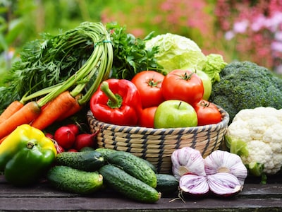 Im Garten steht auf einen Holztisch ein Korb mit einem Apfel und regionalem Gemüse wie Karotten, Blumenkohl, Tomaten, Paprika